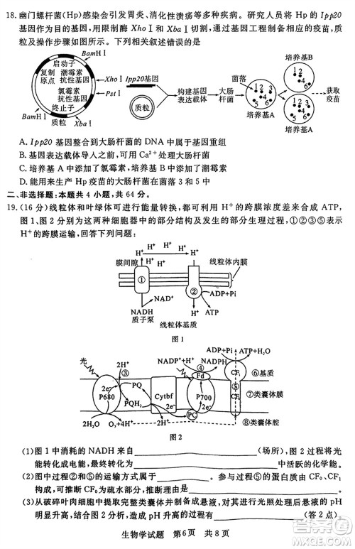 T8联考2024届高三上学期第一次学业质量评价生物参考答案 T8联考2024届高三上学期第一次学业质量评价生物参考答案
