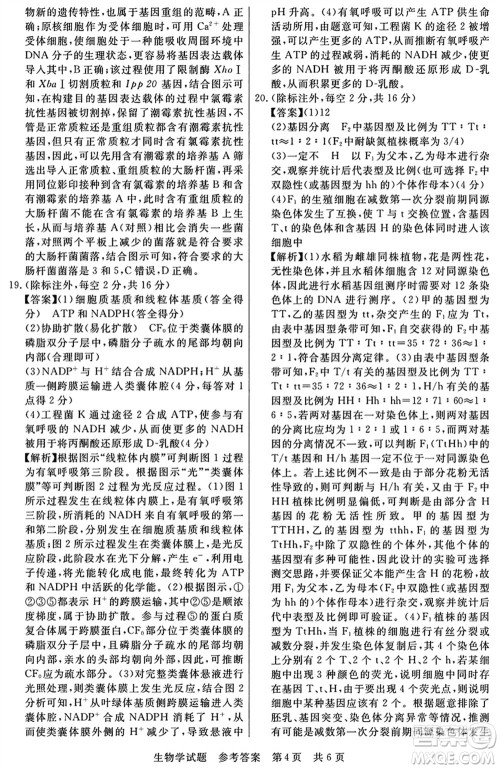 T8联考2024届高三上学期第一次学业质量评价生物参考答案 T8联考2024届高三上学期第一次学业质量评价生物参考答案