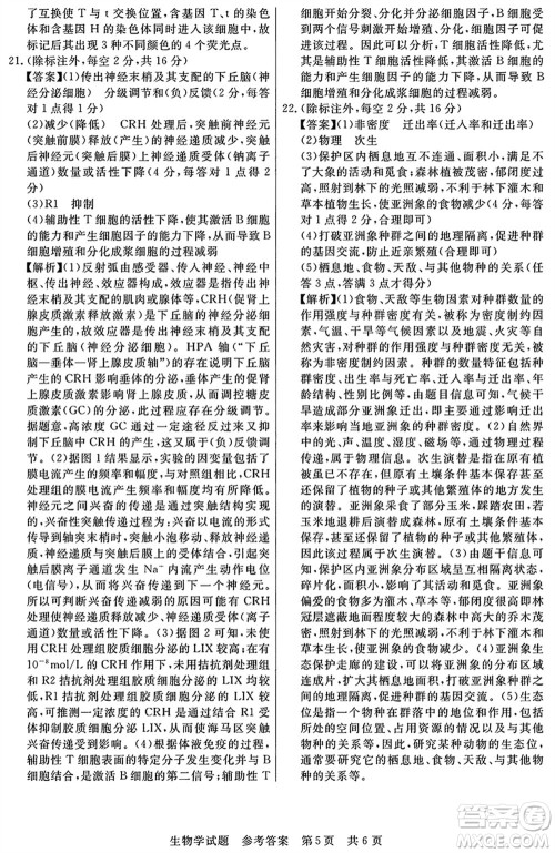 T8联考2024届高三上学期第一次学业质量评价生物参考答案 T8联考2024届高三上学期第一次学业质量评价生物参考答案
