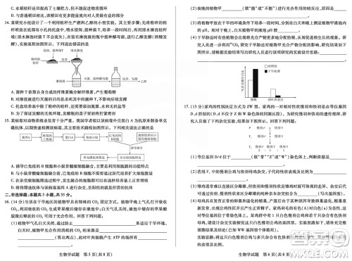 天一大联考皖豫名校联盟2024届高中毕业班上学期第二次考试生物参考答案 天一大联考皖豫名校联盟2024届高中毕业班上学期第二次考试生物参考答案