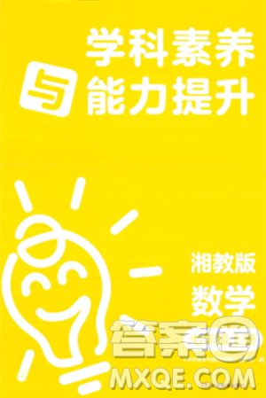 湖南教育出版社2023年秋学科素养与能力提升七年级数学上册湘教版答案