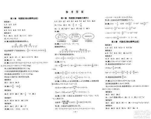 湖南教育出版社2023年秋学科素养与能力提升七年级数学上册湘教版答案