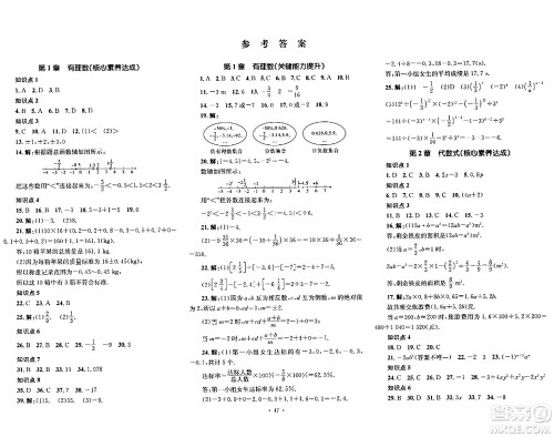 湖南教育出版社2023年秋学科素养与能力提升七年级数学上册湘教版答案