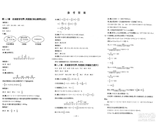 湖南教育出版社2023年秋学科素养与能力提升七年级数学上册华师版答案