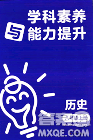 湖南教育出版社2023年秋学科素养与能力提升八年级历史上册人教版答案