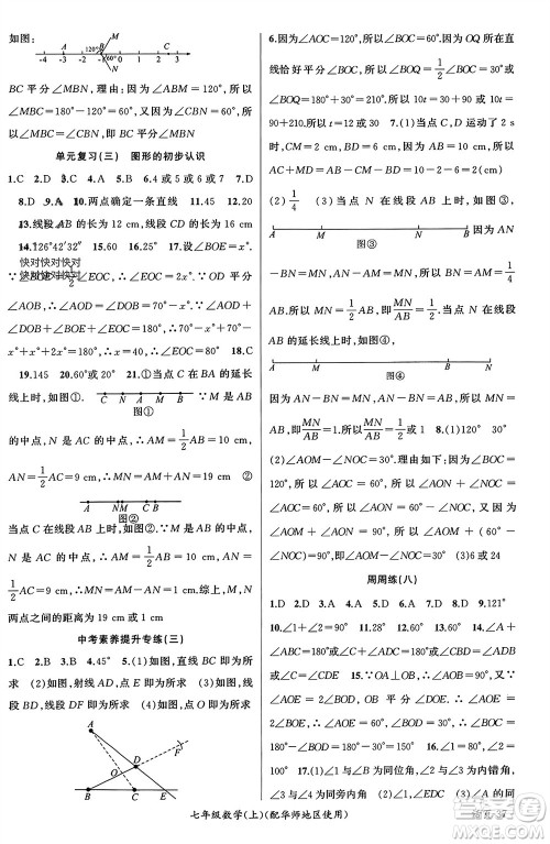 新疆青少年出版社2023年秋原创新课堂七年级数学上册华师大版参考答案