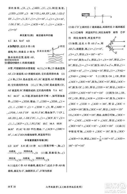 新疆青少年出版社2023年秋原创新课堂七年级数学上册华师大版参考答案