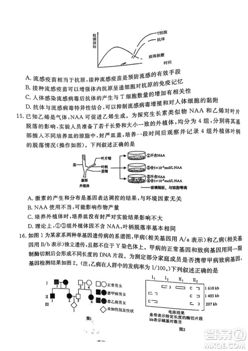 衡水金卷2024届高三上学期12月大联考生物试题参考答案