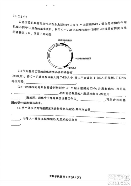 衡水金卷2024届高三上学期12月大联考生物试题参考答案