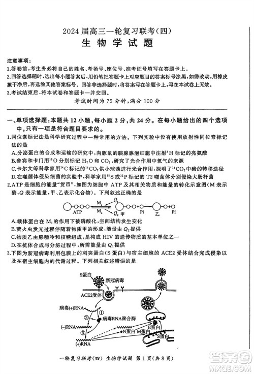 百师联盟2024届高三上学期一轮复习联考四江西卷生物参考答案