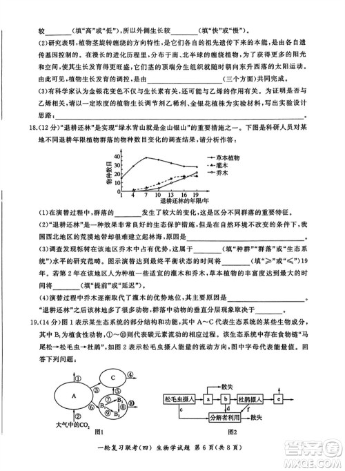 百师联盟2024届高三上学期一轮复习联考四江西卷生物参考答案