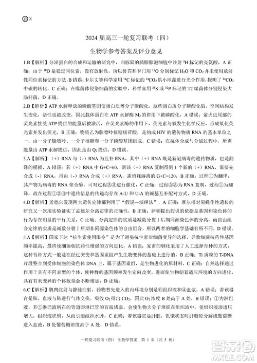 百师联盟2024届高三上学期一轮复习联考四江西卷生物参考答案 百师联盟2024届高三上学期一轮复习联考四江西卷生物参考答案