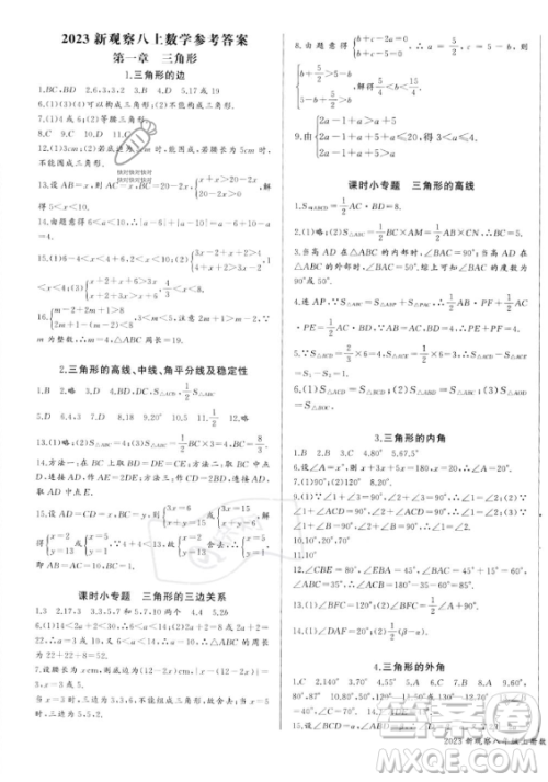 长江少年儿童出版社2023年秋思维新观察八年级数学上册人教版湖北专版答案