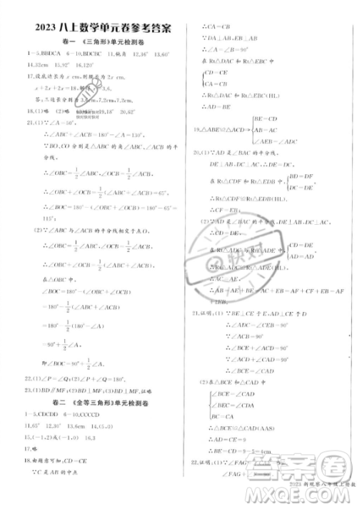 长江少年儿童出版社2023年秋思维新观察八年级数学上册人教版湖北专版答案 长江少年儿童出版社2023年秋思维新观察八年级数学上册人教版湖北专版答案