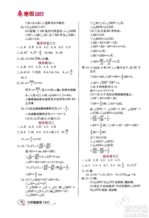 延边教育出版社2024年寒假作业九年级数学人教版答案