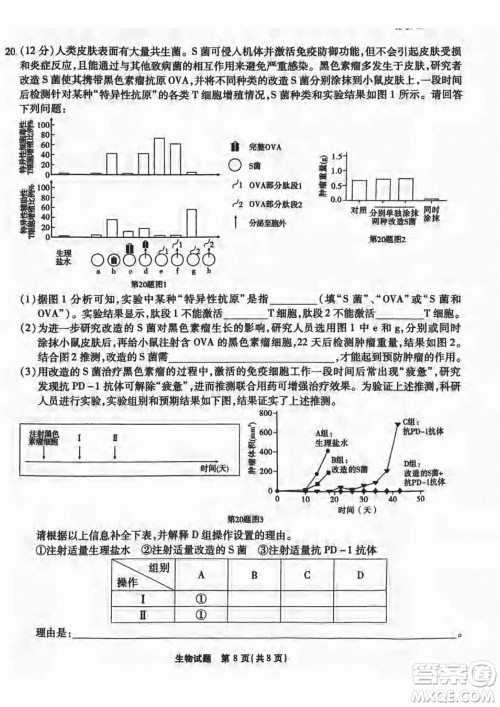 重庆市高2024届高三上学期第五次质量检测生物试题参考答案