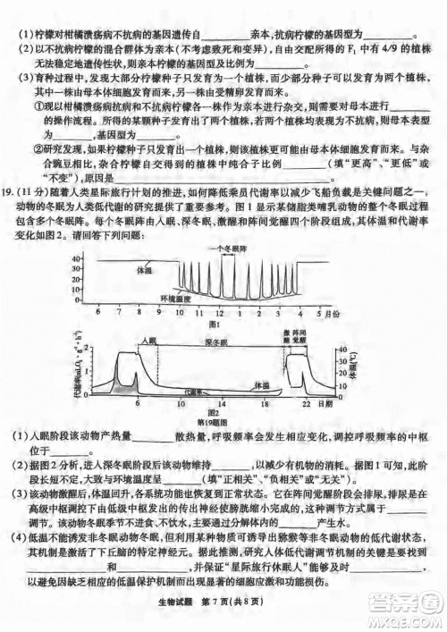 重庆市高2024届高三上学期第五次质量检测生物试题参考答案