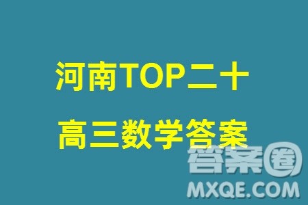 河南2024届高三上学期TOP二十名校调研考试九数学参考答案