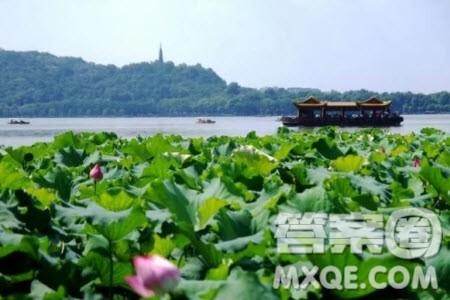 一方水土养一方人材料作文800字 关于一方水土养一方人的材料作文800字 一方水土养一方人材料作文800字 关于一方水土养一方人的材料作文800字