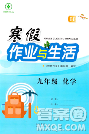 陕西人民教育出版社2024寒假作业与生活九年级化学人教版参考答案 陕西人民教育出版社2024寒假作业与生活九年级化学人教版参考答案