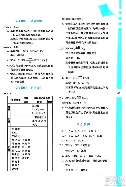 陕西人民教育出版社2024寒假作业与生活九年级化学人教版参考答案