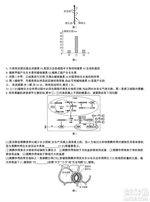 江苏省2023-2024学年高三上学期期末迎考卷生物参考答案