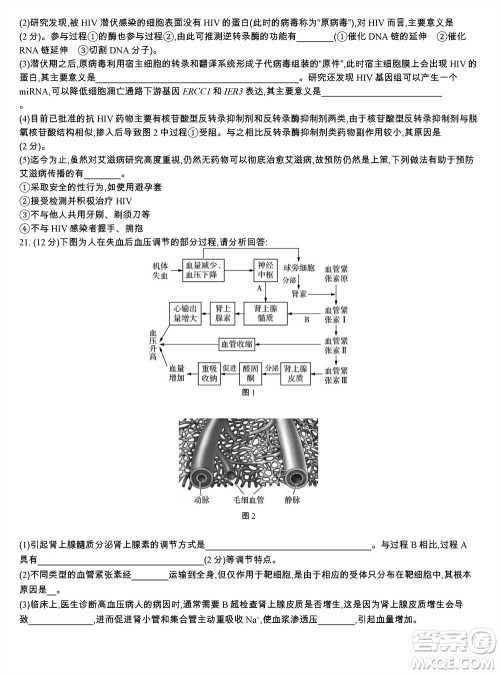 江苏省2023-2024学年高三上学期期末迎考卷生物参考答案