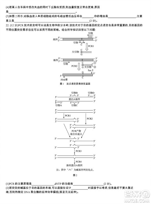 江苏省2023-2024学年高三上学期期末迎考卷生物参考答案