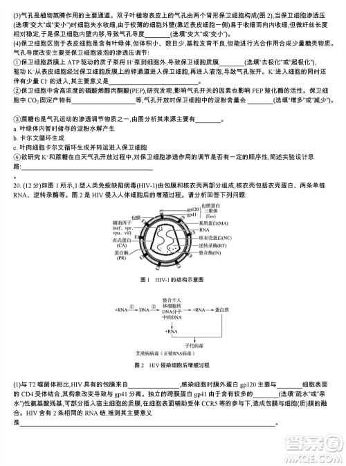 江苏省2023-2024学年高三上学期期末迎考卷生物参考答案