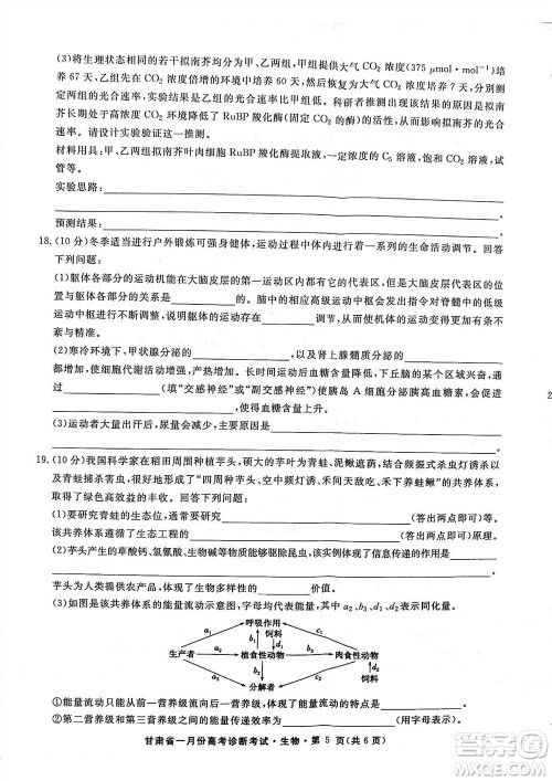 甘肃省2024届高三上学期1月高考诊断考试生物参考答案