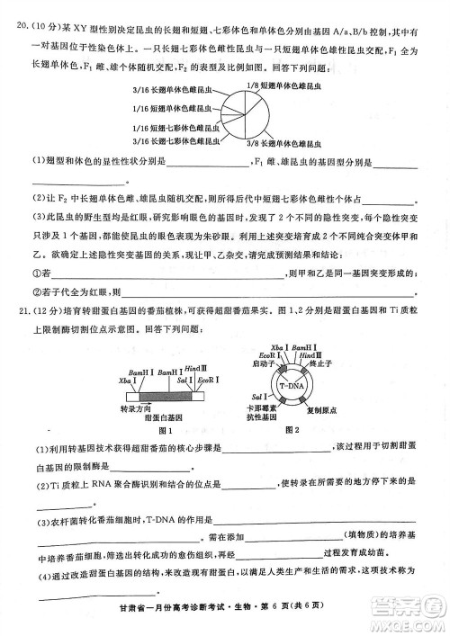 甘肃省2024届高三上学期1月高考诊断考试生物参考答案