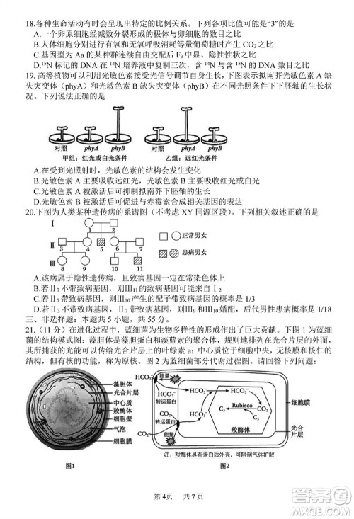 哈三中2023-2024学年高三上学期期末考试生物参考答案