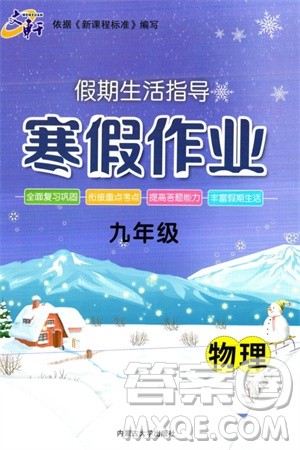 内蒙古大学出版社2024文轩假期生活指导寒假作业九年级物理课标版参考答案