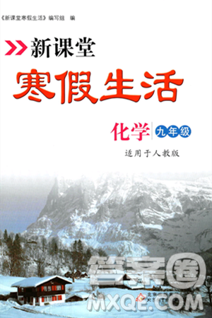 北京教育出版社2024新课堂寒假生活九年级化学人教版答案 北京教育出版社2024新课堂寒假生活九年级化学人教版答案