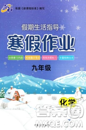内蒙古大学出版社2024文轩假期生活指导寒假作业九年级化学课标版参考答案