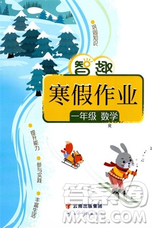 云南科技出版社2024智趣寒假作业一年级数学人教版参考答案