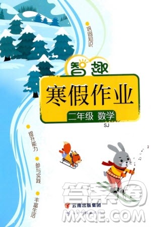 云南科技出版社2024智趣寒假作业二年级数学苏教版参考答案