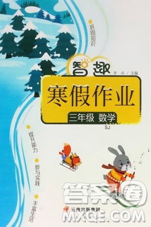 云南科技出版社2024智趣寒假作业三年级数学苏教版参考答案