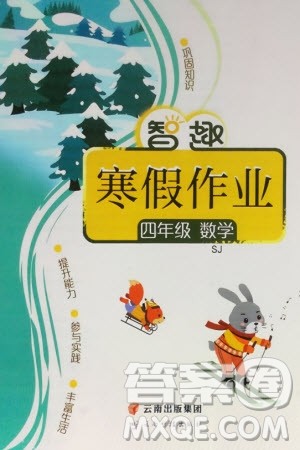 云南科技出版社2024智趣寒假作业四年级数学苏教版参考答案 云南科技出版社2024智趣寒假作业四年级数学苏教版参考答案
