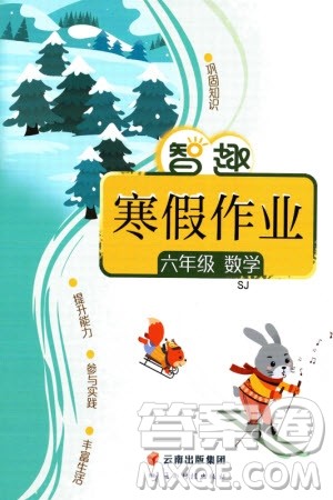 云南科技出版社2024智趣寒假作业六年级数学苏教版参考答案