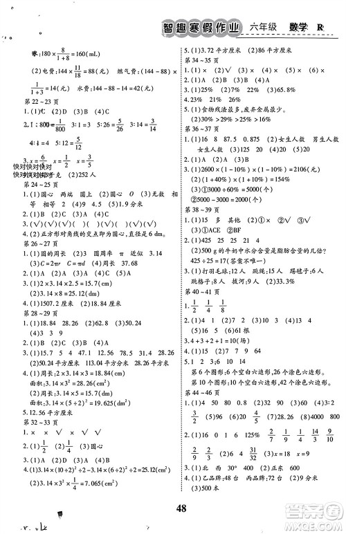 云南科技出版社2024智趣寒假作业六年级数学人教版参考答案 云南科技出版社2024智趣寒假作业六年级数学人教版参考答案