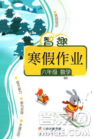 云南科技出版社2024智趣寒假作业六年级数学北师大版参考答案