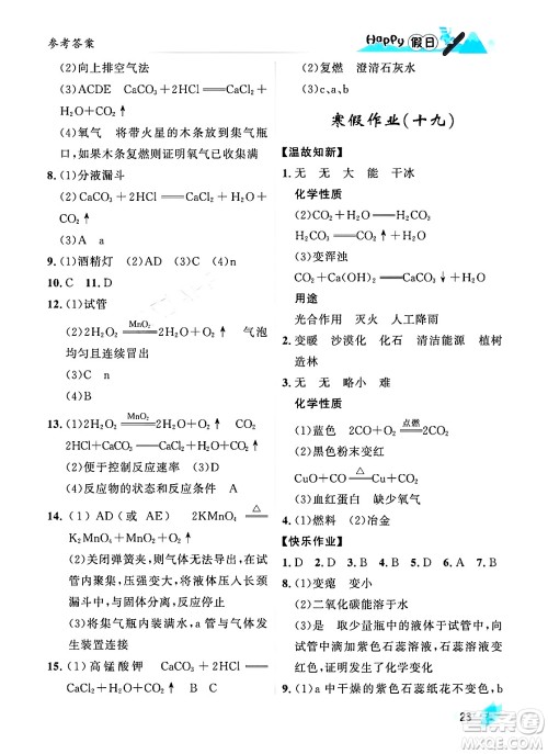 黑龙江少年儿童出版社2024Happy假日寒假九年级化学人教版答案