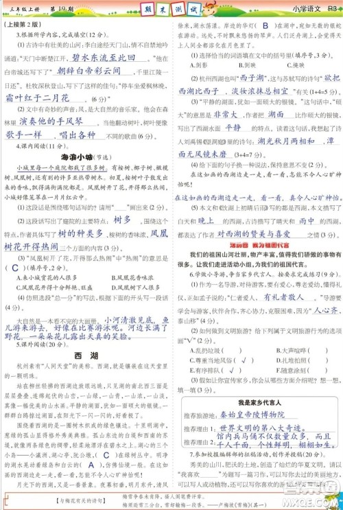 2023年秋少年智力开发报三年级语文上册人教版第17-20期答案