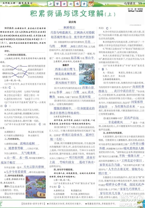 2023年秋少年智力开发报五年级语文上册期末总复习合刊参考答案