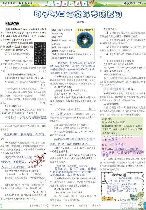 2023年秋少年智力开发报五年级语文上册期末总复习合刊参考答案