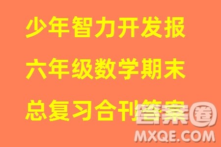 2023年秋少年智力开发报六年级数学上册人教版期末总复习合刊参考答案