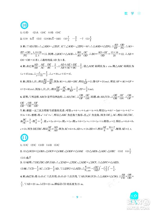安徽教育出版社2024寒假作业九年级数学北师大版答案