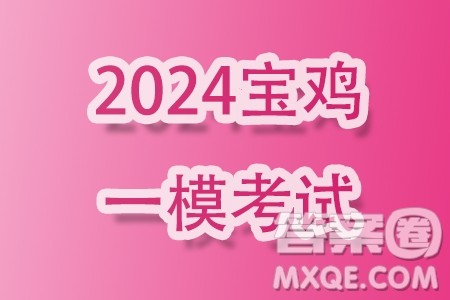 2024届宝鸡一模理科数学试题答案