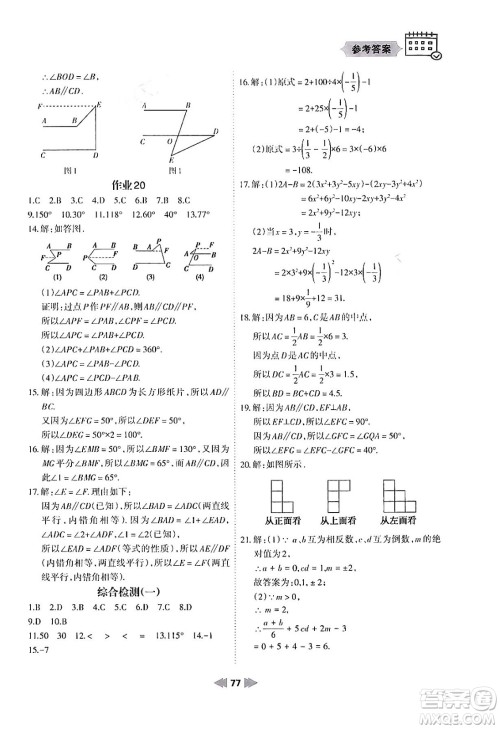 兰州大学出版社2024寒假作业七年级数学华东师大版答案